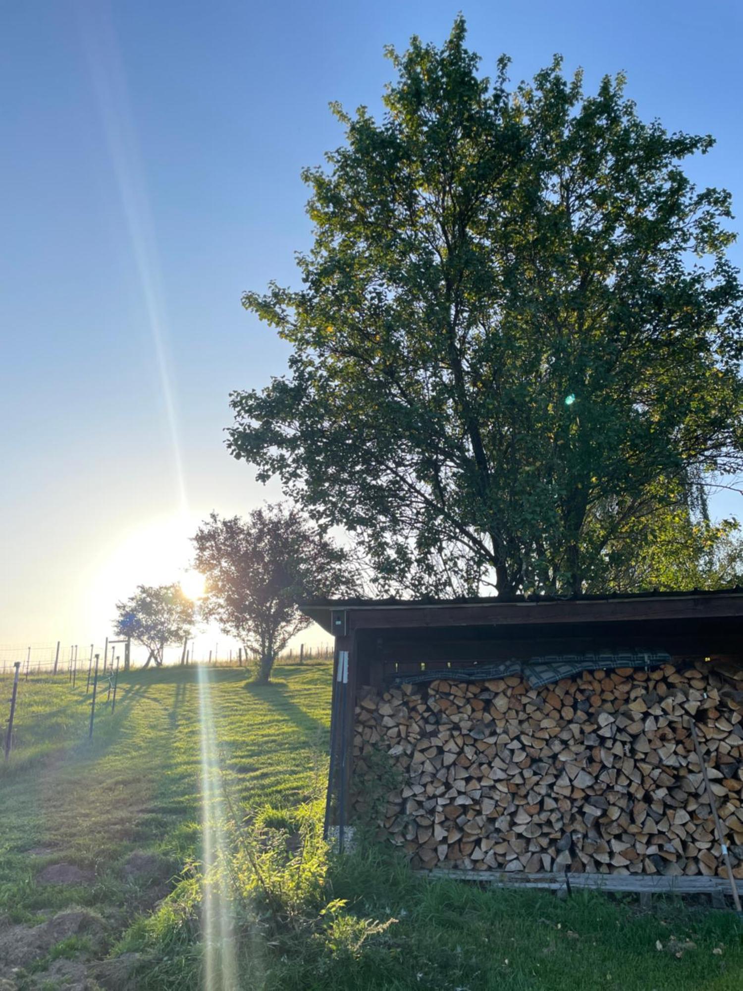 Auszeit Altenhorst, Gartenferienwohnung Schalksmuhle 外观 照片